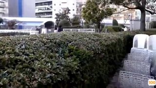 大奶骚气妹子透视情趣装黑色丝袜 床上玻璃黄瓜按摩器自慰喷水大秀 呻吟诱惑喜欢不要错过